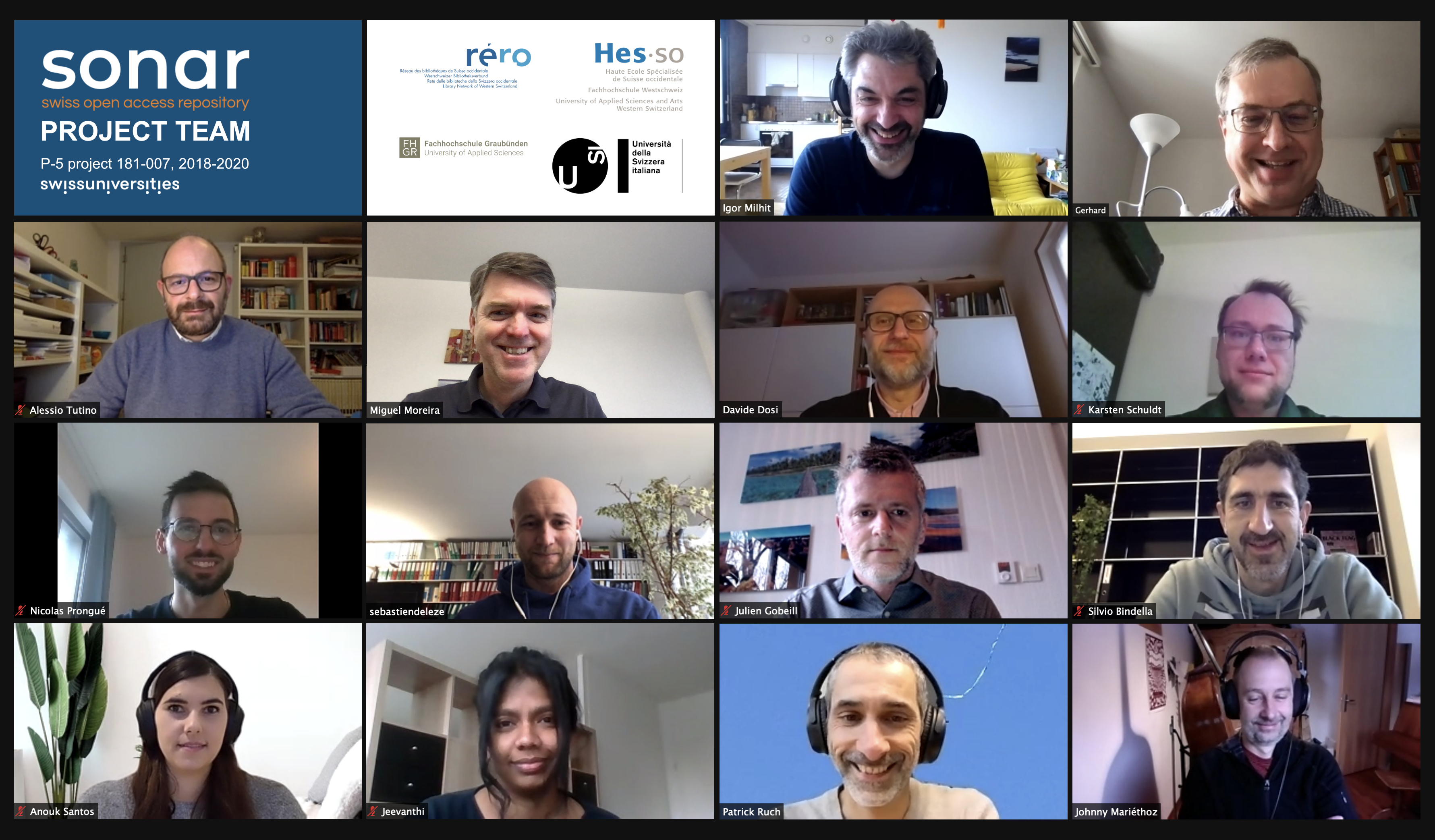 Screenshot of the whole SONAR project team during a Zoom meeting